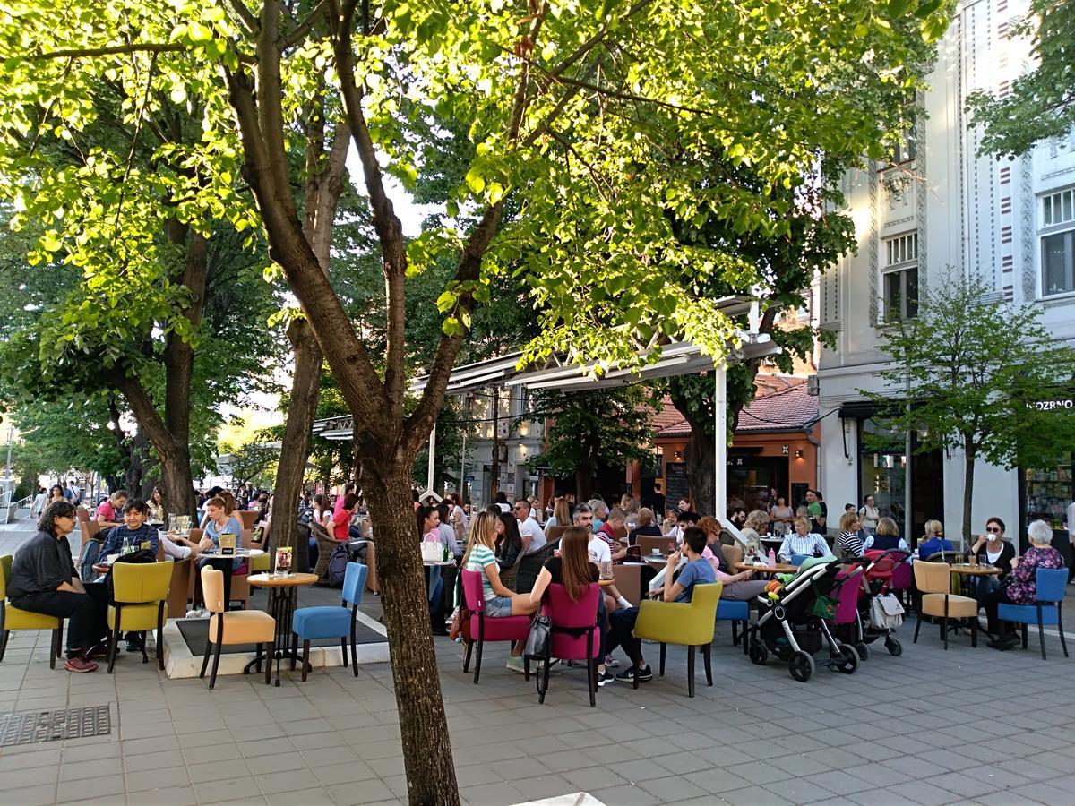 Apartment Lovac Belgrad Dış mekan fotoğraf